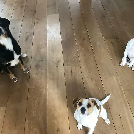 Lakeside Villa Koivuvaara Laukkoski